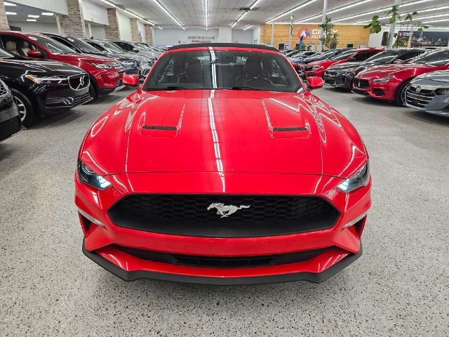 2021 Ford Mustang EcoBoost Convertible photo 2