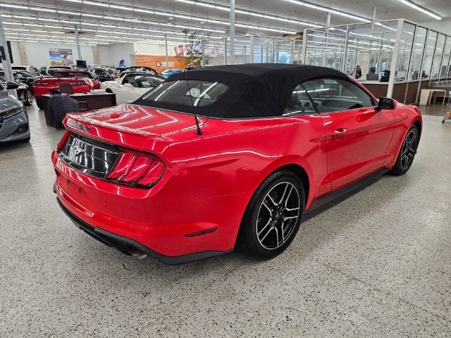 2021 Ford Mustang EcoBoost Convertible photo 4