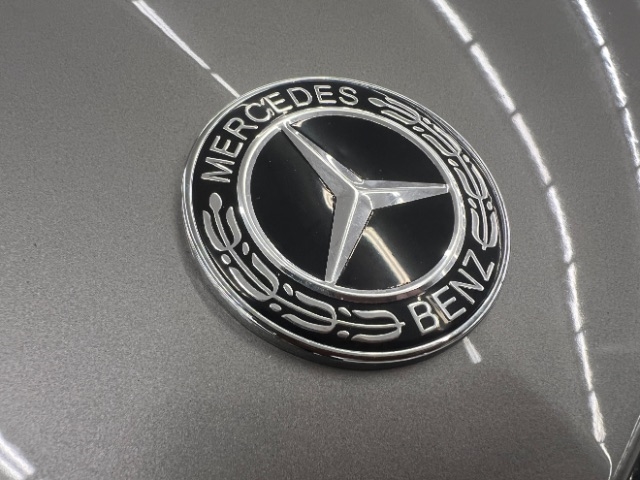 Mercedes-Benz S-Class 4dr Sdn 5.5L V8 4MATIC 2009