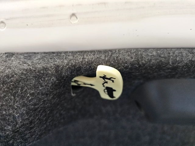 Dodge Charger Scat Pack RWD 2021