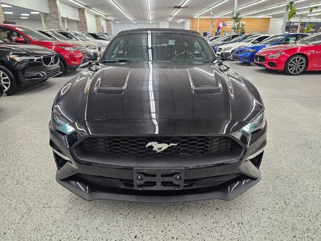 Ford Mustang EcoBoost Convertible 2020