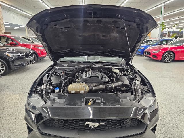 Ford Mustang EcoBoost Convertible 2020