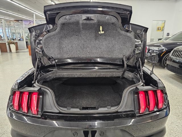 Ford Mustang EcoBoost Convertible 2020