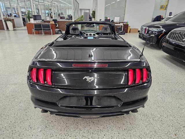 Ford Mustang EcoBoost Convertible 2020