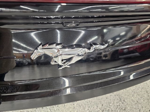 Ford Mustang EcoBoost Convertible 2020