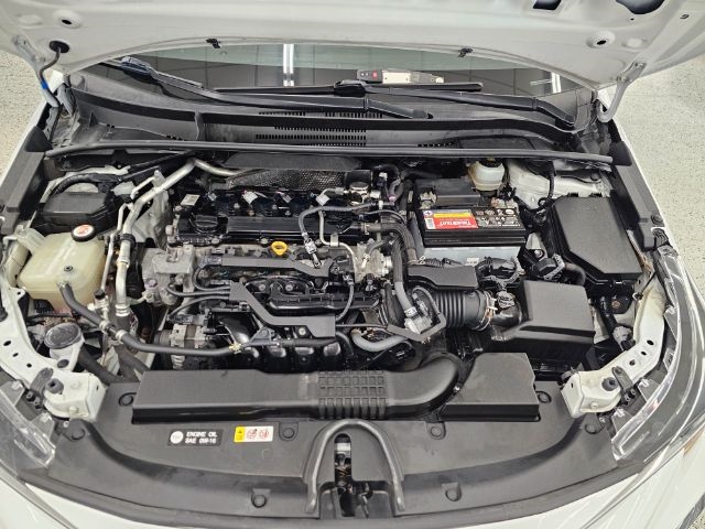 Toyota Corolla SE Manual (Natl) 2020