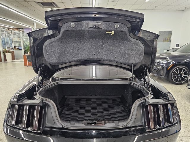 Ford Mustang 2dr Fastback GT 2015