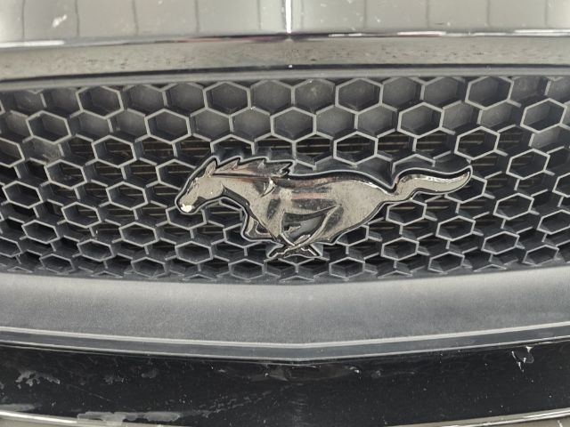 Ford Mustang 2dr Fastback GT 2015