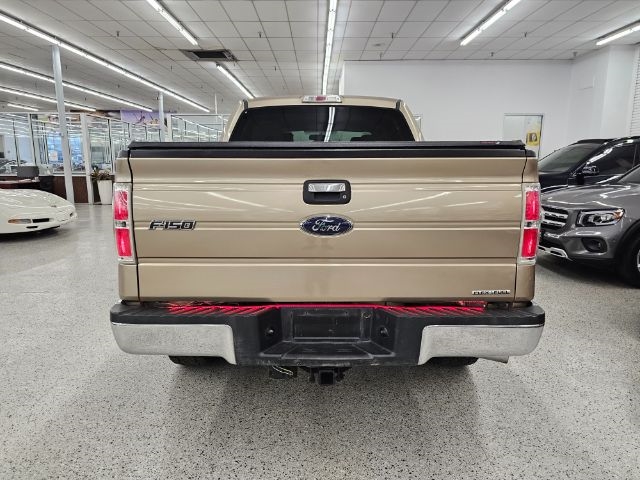 Ford F-150 4WD SuperCrew 145" Platinum 2014
