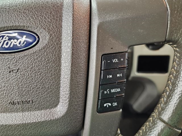 Ford F-150 4WD SuperCrew 145" Platinum 2014