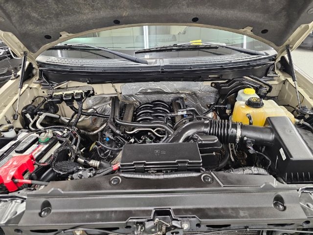 Ford F-150 4WD SuperCrew 145" Platinum 2014