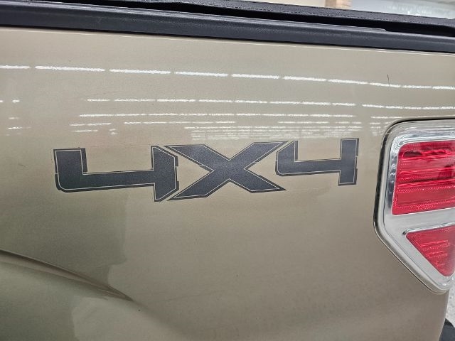 Ford F-150 4WD SuperCrew 145" Platinum 2014