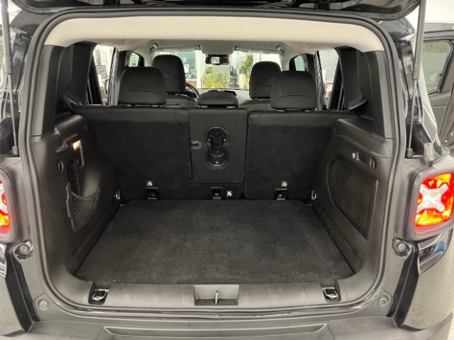 Jeep Renegade Trailhawk 4x4 2019