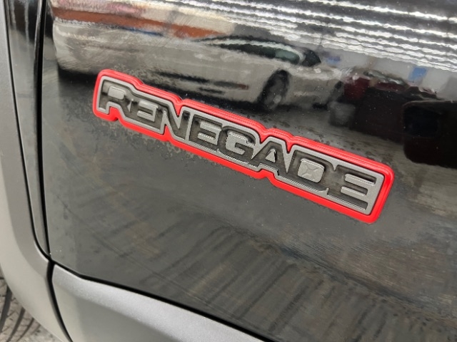 Jeep Renegade Trailhawk 4x4 2019