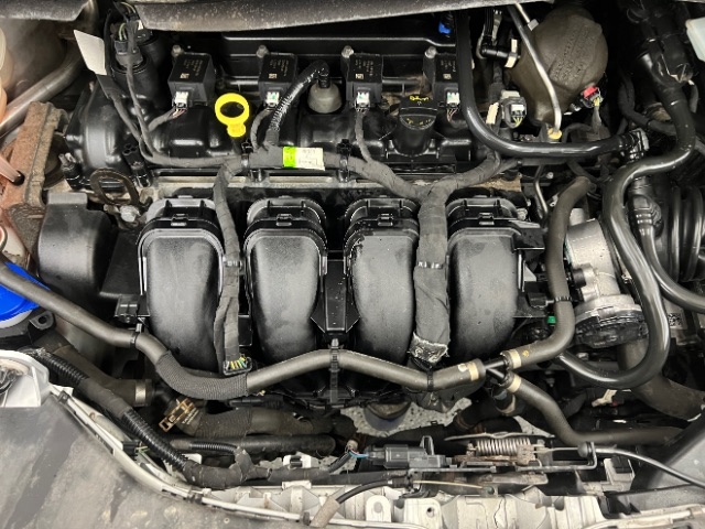 Ford Transit Connect Van XL LWB w/Rear Symmetrical Doors 2019