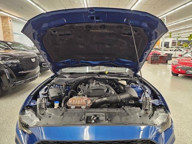 Ford Mustang EcoBoost Convertible 2022