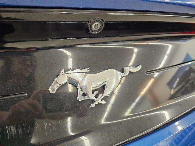 Ford Mustang EcoBoost Convertible 2022