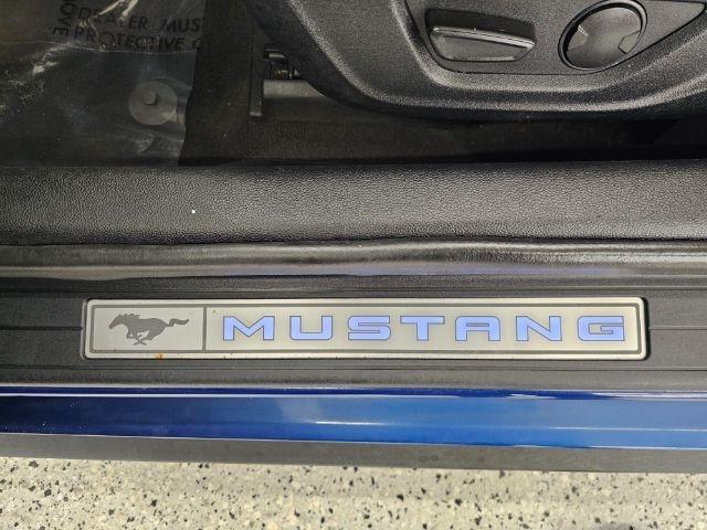 Ford Mustang EcoBoost Convertible 2022