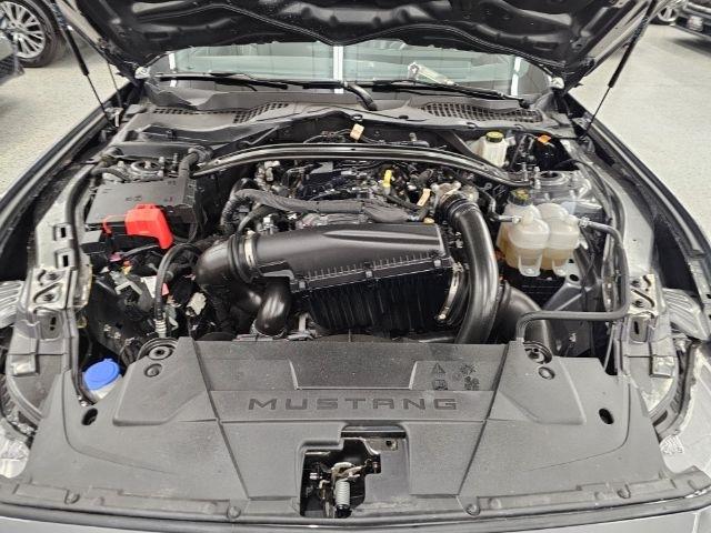 Ford Mustang EcoBoost Convertible 2025