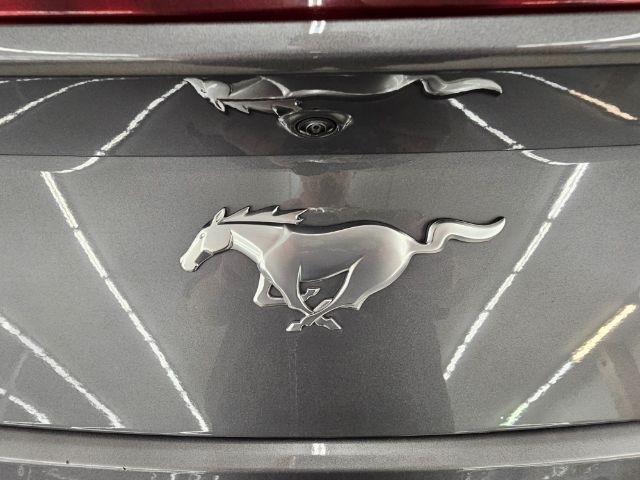 Ford Mustang EcoBoost Convertible 2025