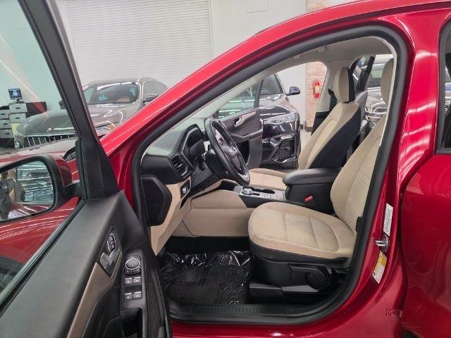 Ford Escape SE FWD 2021
