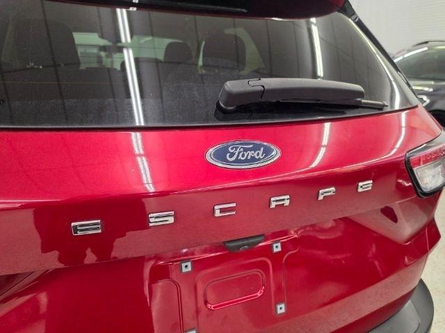 Ford Escape SE FWD 2021