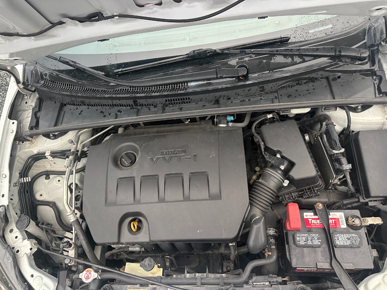 Toyota Corolla XLE CVT 2019