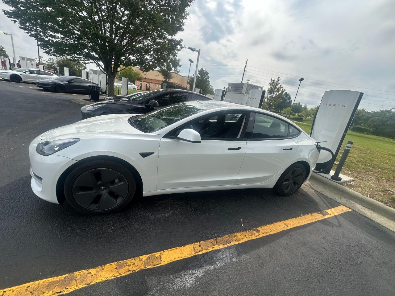 Tesla Model 3 Standard Range Plus 2022