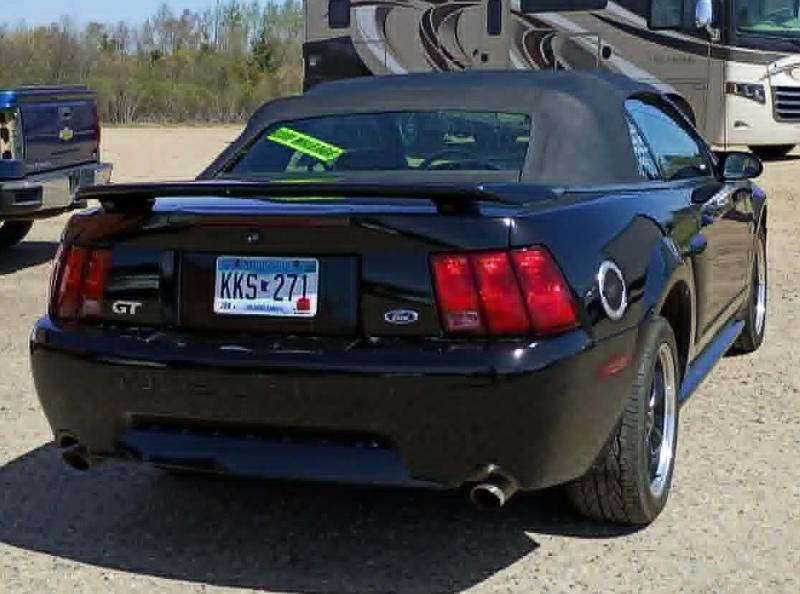 Ford Mustang GT Deluxe Convertible 2001