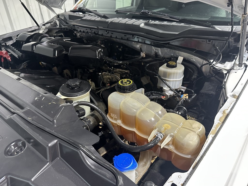 Ford Super Duty F-250 SRW XL 4WD Crew Cab 6.75' Box 2019