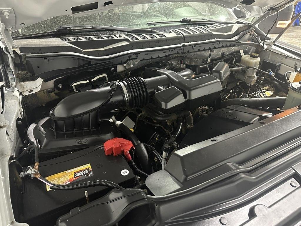 Ford Super Duty F-250 SRW XL 4WD Crew Cab 6.75' Box 2019