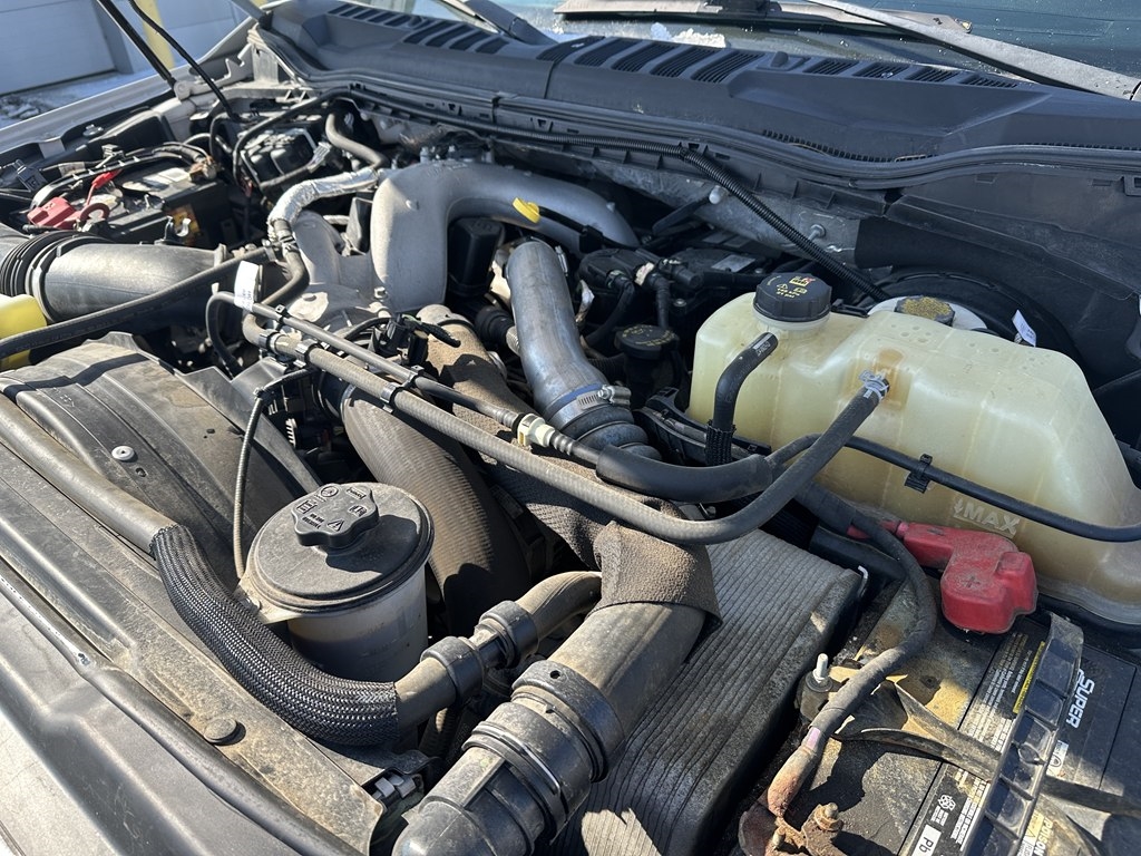 Ford Super Duty F-250 SRW XLT 4WD Crew Cab 6.75' Box 2021