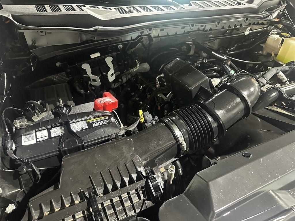 Ford Super Duty F-250 SRW XL 4WD Crew Cab 8' Box 2023