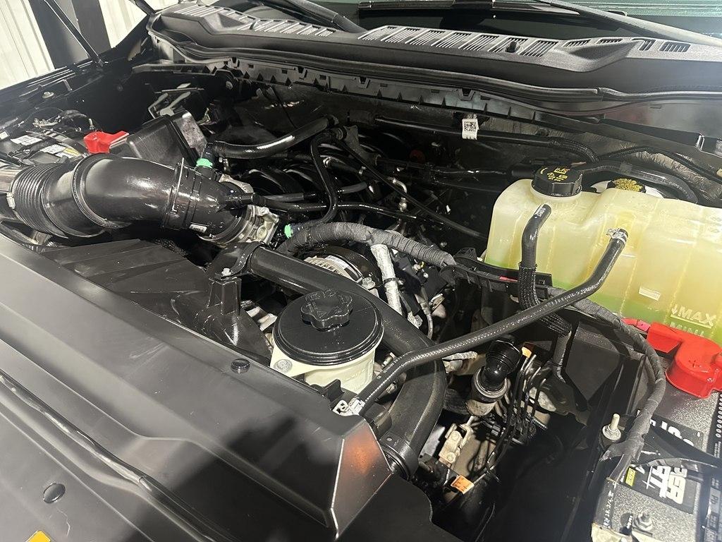 Ford Super Duty F-250 SRW XL 4WD Crew Cab 8' Box 2023