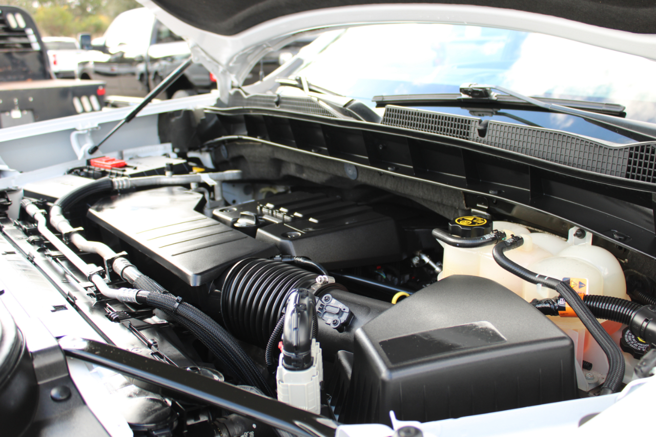 GMC Sierra 1500 Limited Elevation Double Cab 2WD 2022