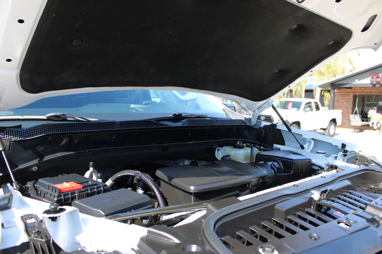 Chevrolet Silverado 1500 LT Trail Boss Crew Cab 4WD 2019