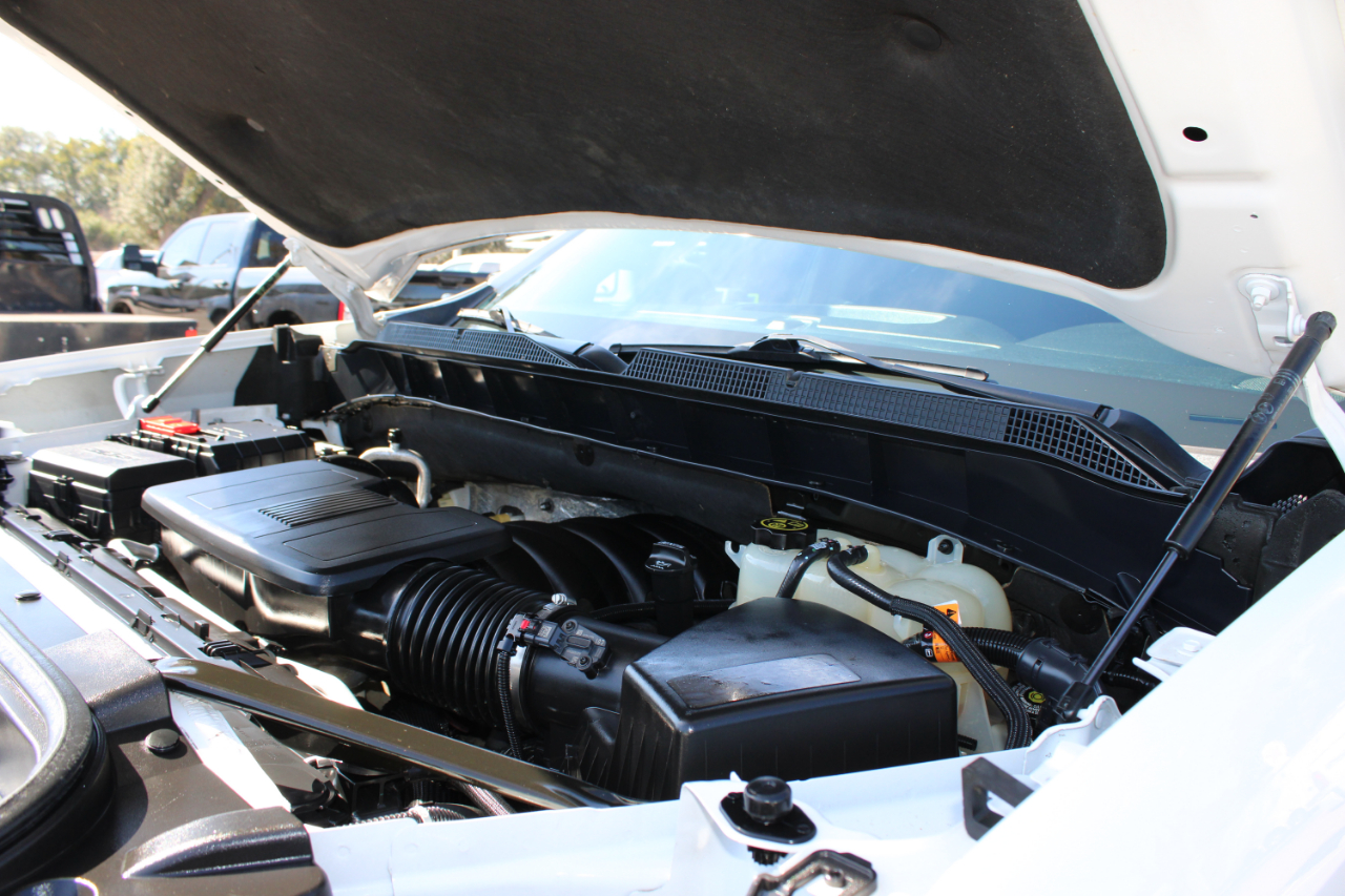 Chevrolet Silverado 1500 LT Trail Boss Crew Cab 4WD 2019