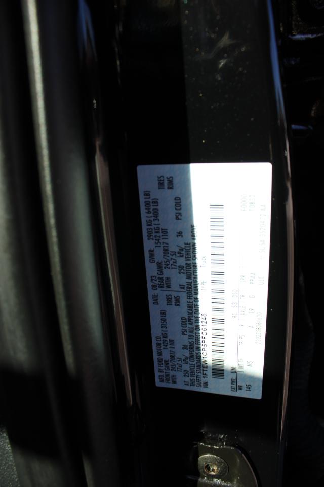 Ford F-150 XLT SuperCrew Short Bed 2WD 2023