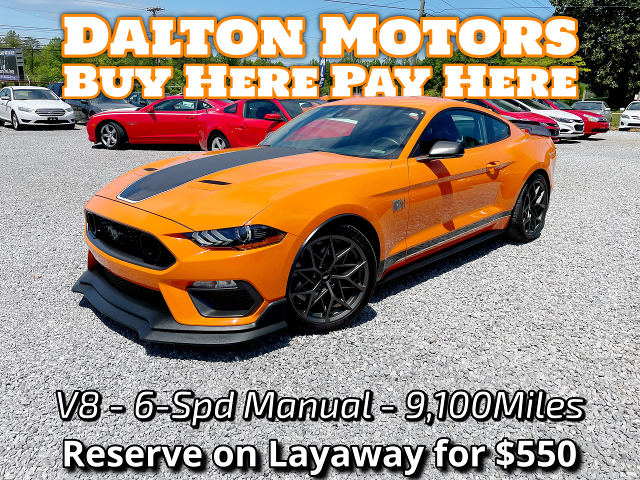 Buy Here Pay Here 2021 Ford Mustang Mach 1 for Sale in Morristown TN