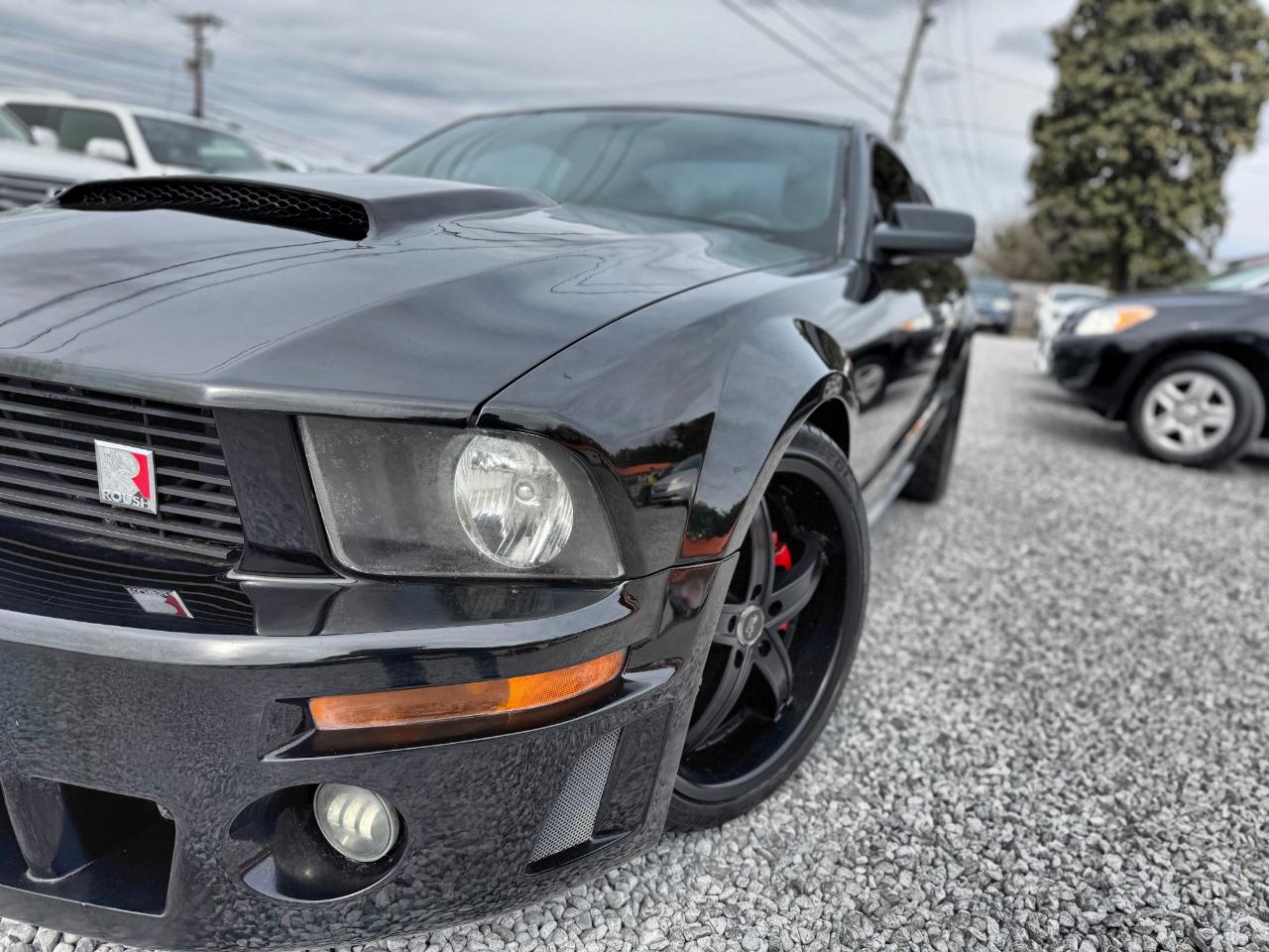 Ford Mustang GT Deluxe Coupe 2007