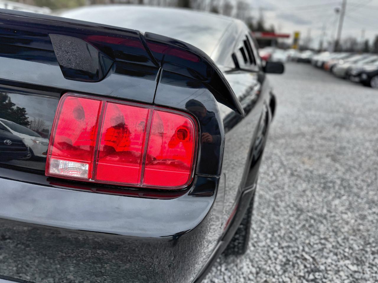 Ford Mustang GT Deluxe Coupe 2007