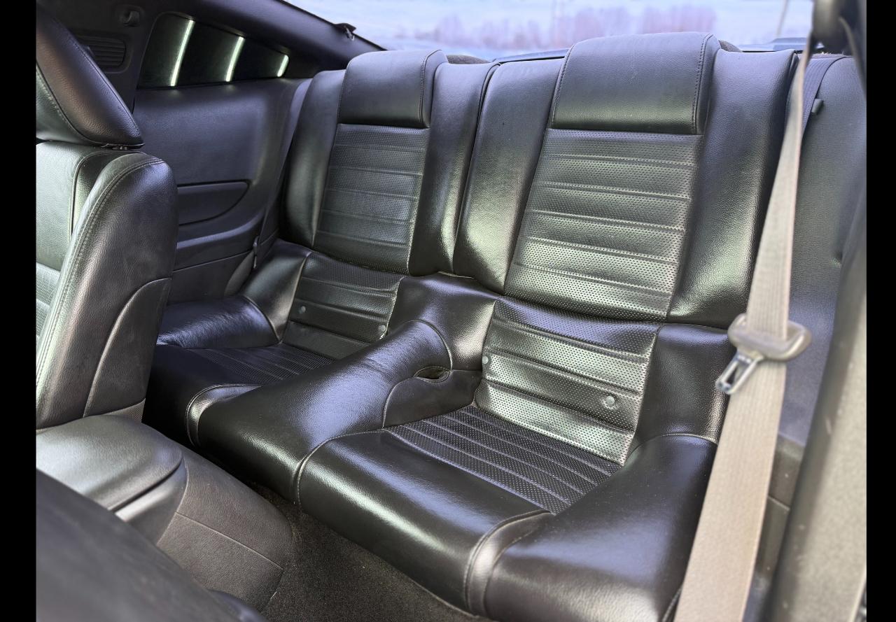 Ford Mustang GT Deluxe Coupe 2007