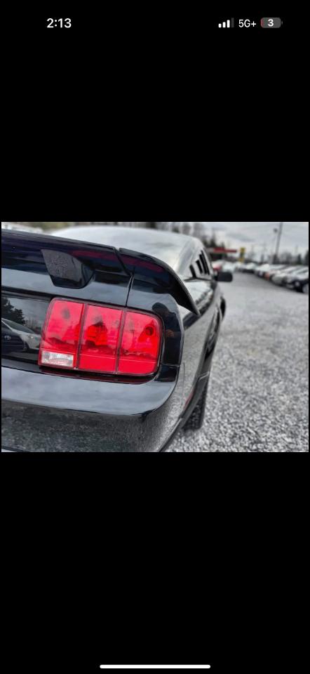 Ford Mustang GT Deluxe Coupe 2007