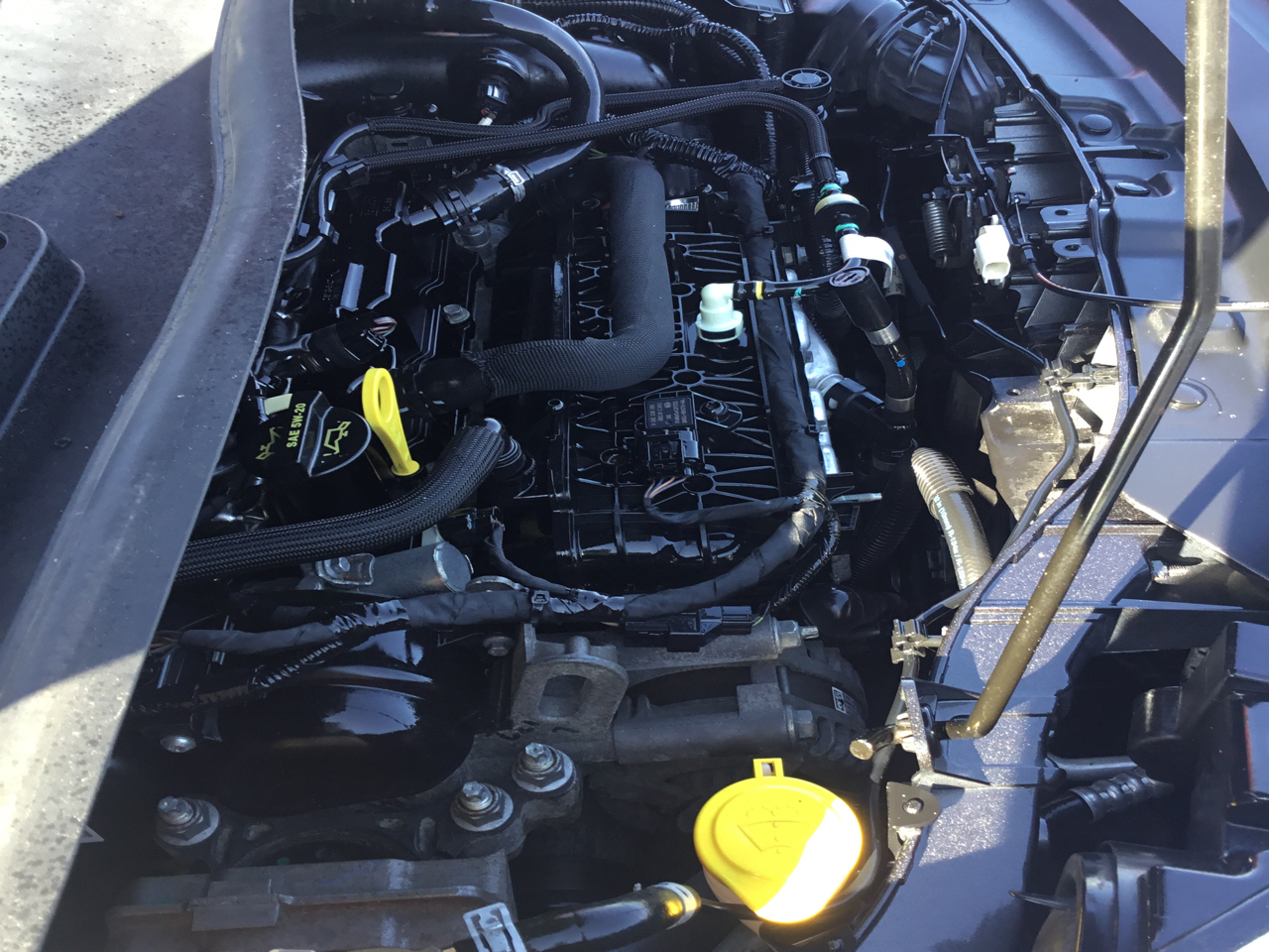 Ford Escape SE FWD 2017