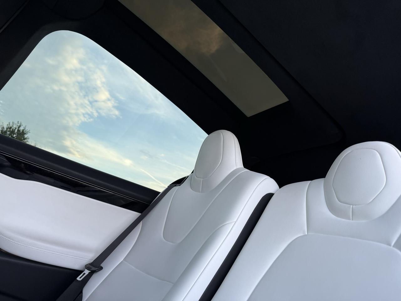 Tesla Model X 100D 2018