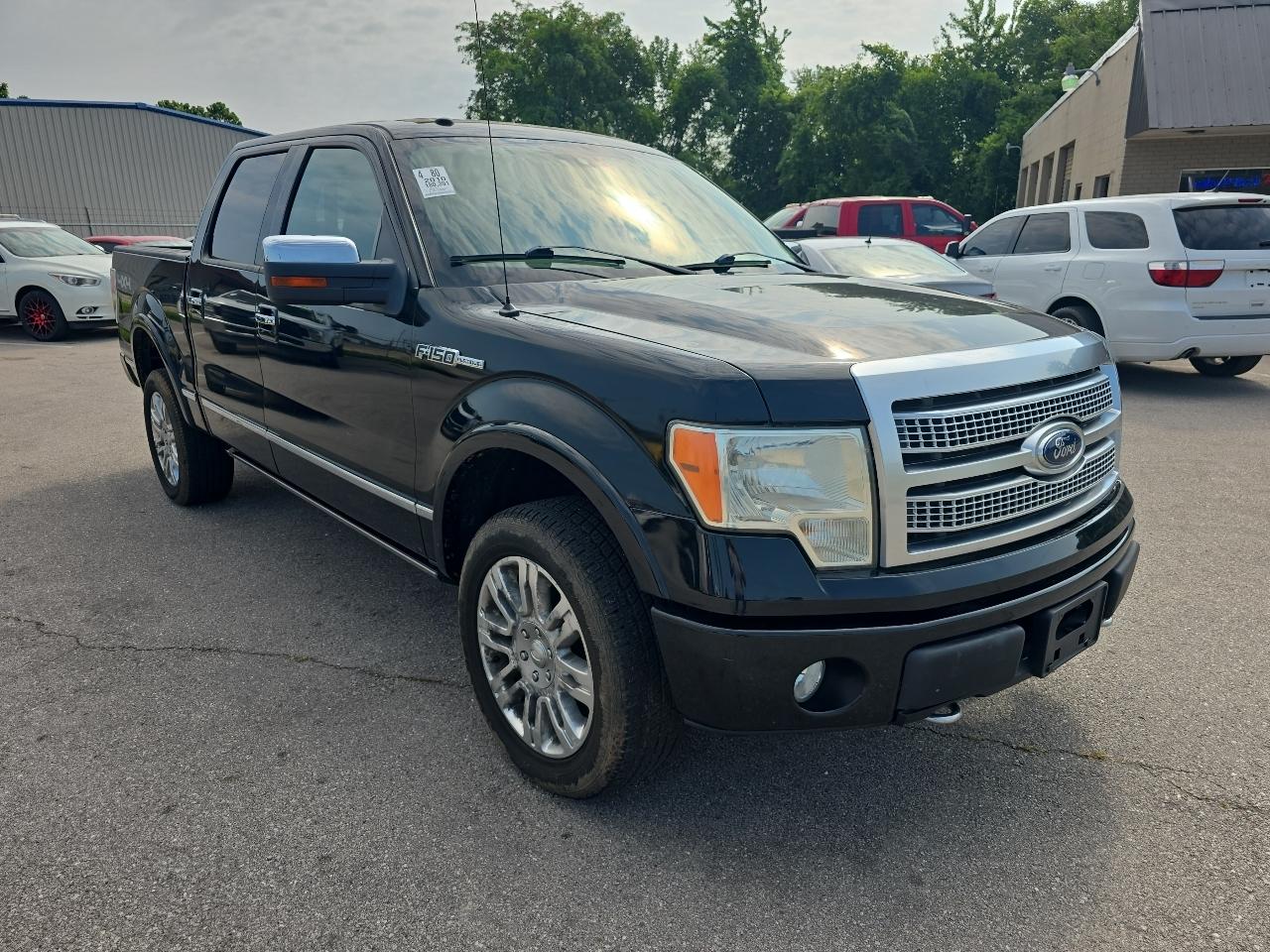 Ford F-150 Platinum SuperCrew 5.5-ft. Bed 4WD 2010