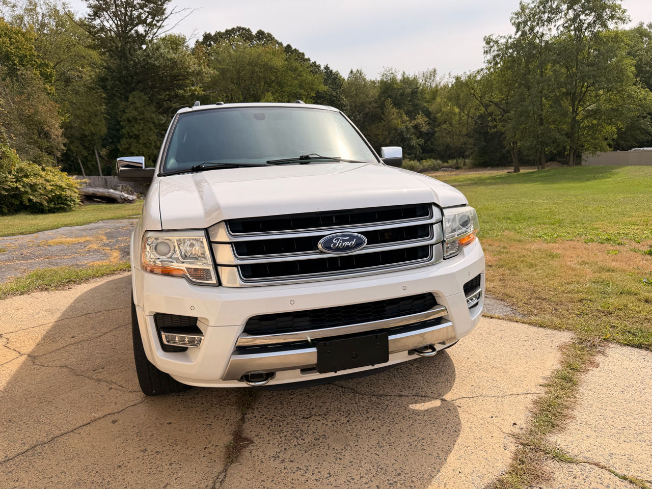 Ford Expedition 4WD 4dr Platinum 2016 Ford Expedition 4WD 4dr Platinum 2016