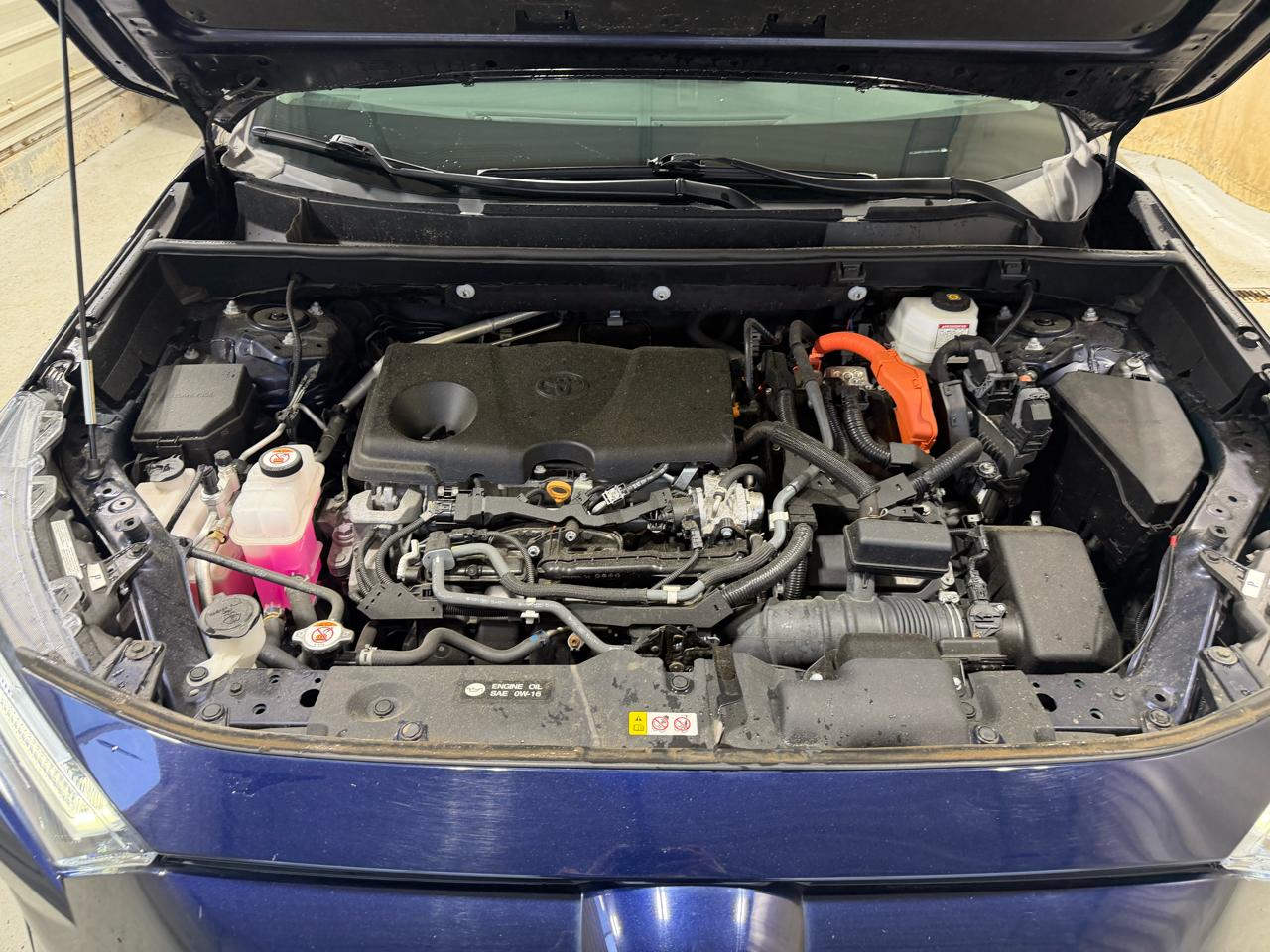 Toyota RAV4 Hybrid Limited AWD (Natl) 2022