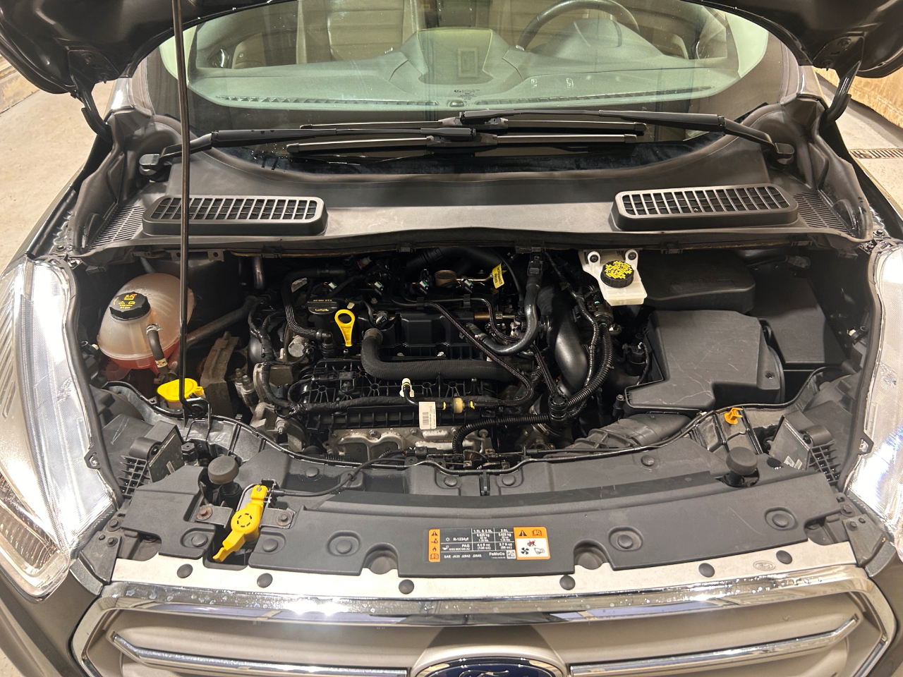 Ford Escape SEL 4WD 2019