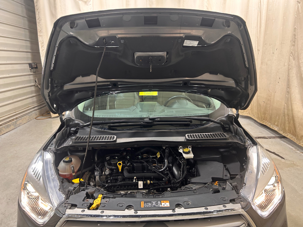 Ford Escape SEL 4WD 2019